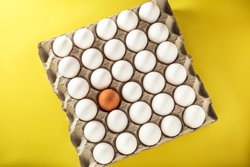 Eggs packed in cardboard or boxes for transporting