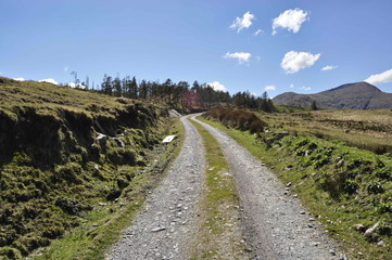 Countryside Road in Kerry, Ireland