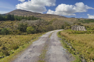 Fototapeta premium Countryside Road in Kerry, Ireland