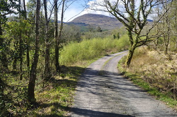 Countryside Road in Kerry, Ireland