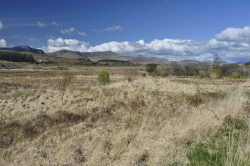 Countryside Landscape in Kerry, Ireland