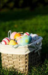 Wooden basket with orange, yellow and green eggs lies on spring green grass at sunlight. Happy...