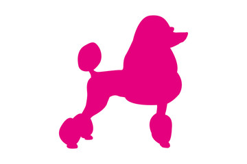 Pet silhouette vector logo for web and print. Pink isolated standing poodle dog and looking to the right.