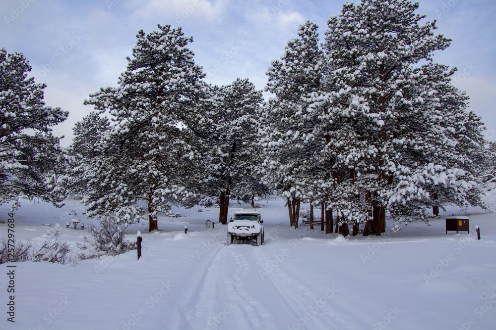 Sticker Rocky Mountain National Park 03/2019