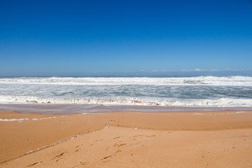 Fototapeta na wymiar Sandy beach of the Atlantic ocean, Morocco