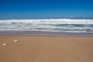 Sandy beach of the Atlantic ocean, Morocco
