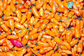 stack of chili in the market
