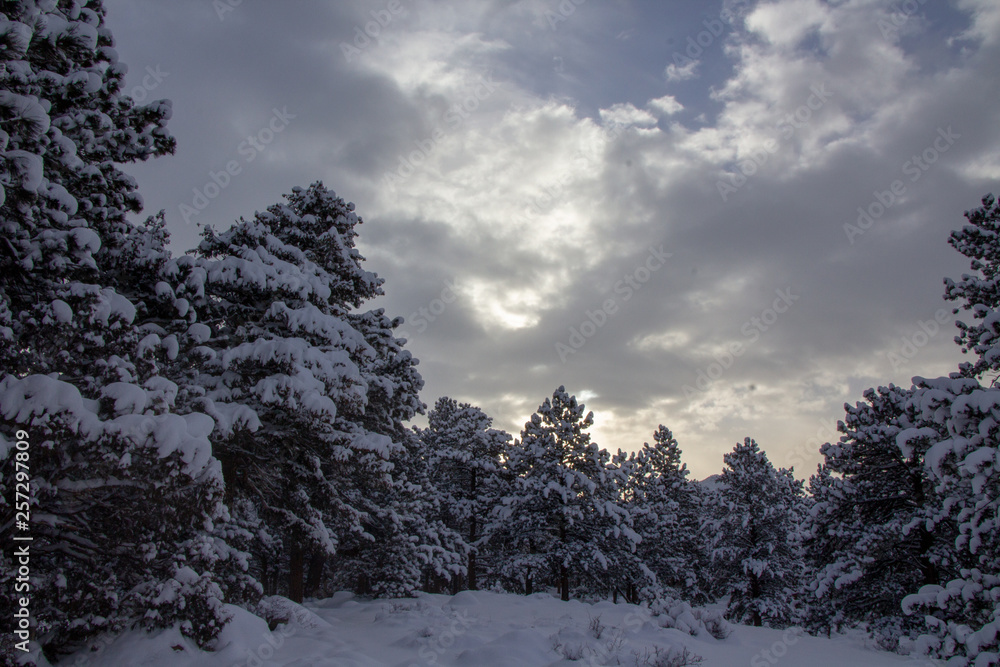 Sticker Rocky Mountain National Park 03/2019