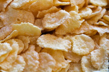 Close-up of yellow corn flakes 