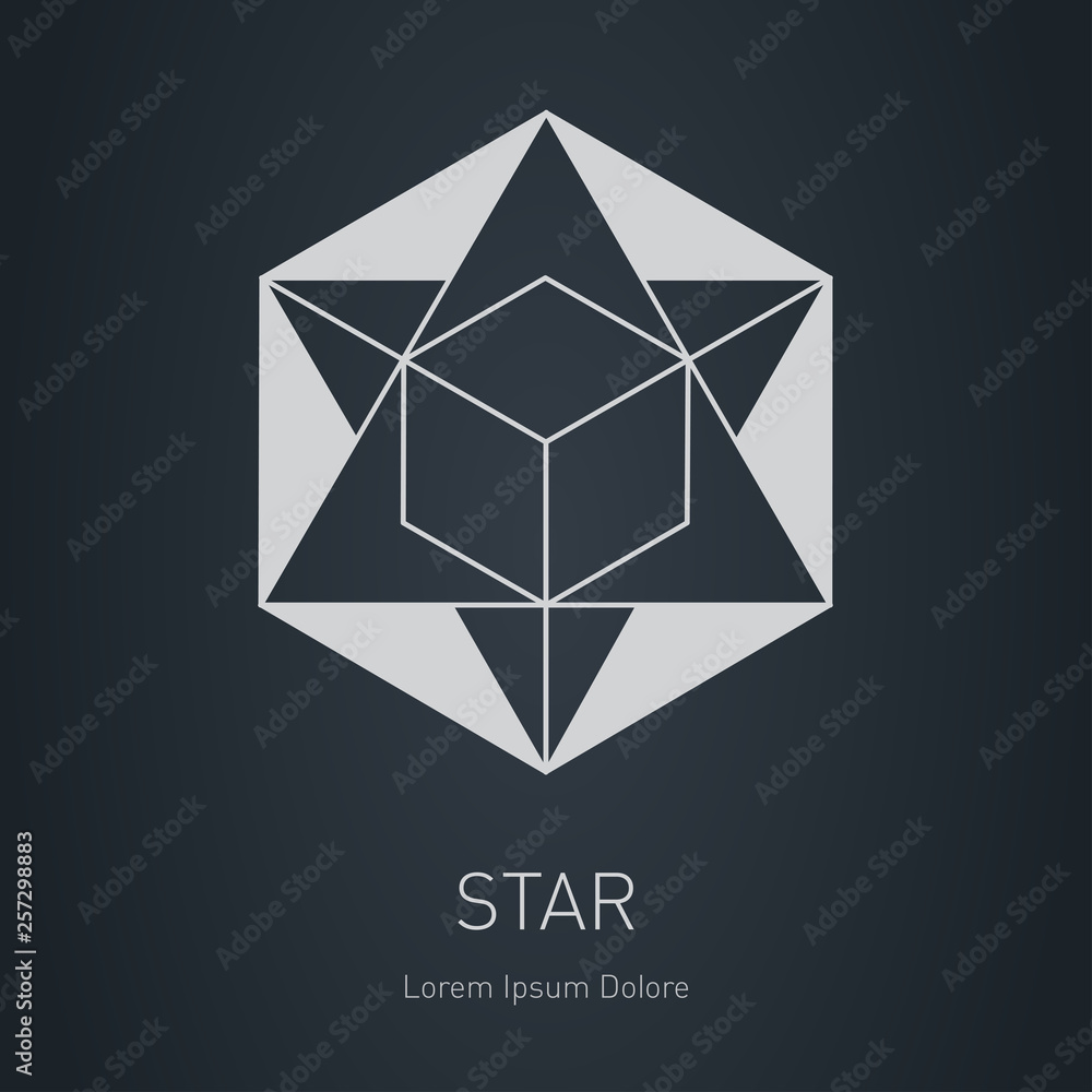 Poster star with cube inside. design element. modern stylish logo. vector low poly logotype template.