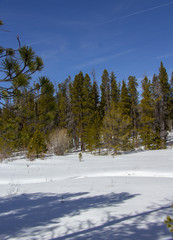 Rocky Mountain National Park 03/2019