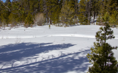 Rocky Mountain National Park 03/2019