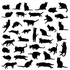 Vector set of isolated, detailed cat silhouettes in various poses and actions in black color on white background.