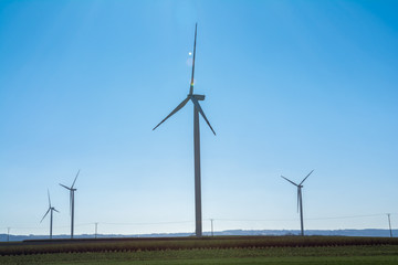 Field with windmills for electric power. Clean energy produced by the wind. Extraction of energy from the air