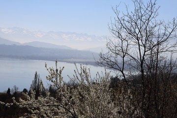 LAC DU BOURGET - SAVOIE - RHONE ALPES - FRANCE