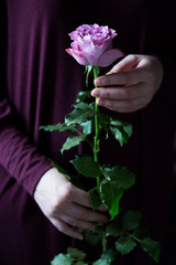 rose hand female dark background romantic sensual