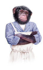 Fototapeta premium chimpanzé, bouché, boucherie, cuisinier, serveur, drôle, chef, cook, aliment, isolé, maitre d'hôtel, cuisiner, blanc, uniforme, professionnel, boulot, cuisine, personne, cale, métiers, gens, bistro, 
