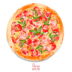 Bacon pizza decorated with arugula. Vector realistic illustration.