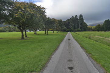 Fototapeta na wymiar Gardens in Killarney National Park, Irelan