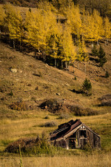 Old Homestead in the Mountains, Victor Colorado