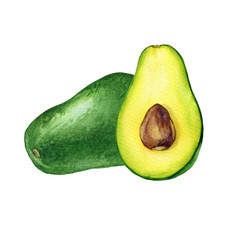 Ripe whole and cut in half of avocado (also called an avocado pear, butter fruit or alligator pear). Hand drawn botanical watercolor painting illustration isolated on white background.