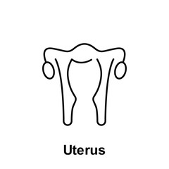 Uterus, organ icon. Element of human organ icon. Thin line icon for website design and development, app development. Premium icon