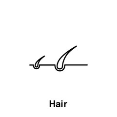 Hair, organ icon. Element of human organ icon. Thin line icon for website design and development, app development. Premium icon