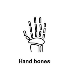 Hand bones, organ icon. Element of human organ icon. Thin line icon for website design and development, app development. Premium icon