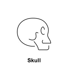 Skull, organ icon. Element of human organ icon. Thin line icon for website design and development, app development. Premium icon