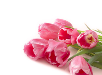 Fototapeta na wymiar Pink tulips on the light background. Selective focus, close-up.