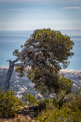 Paisajes de la naturaleza  y juegos con reflejos y bola de cristal