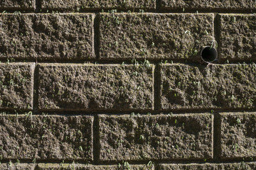 The aged brick wall