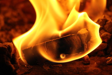 briquette burning in oven