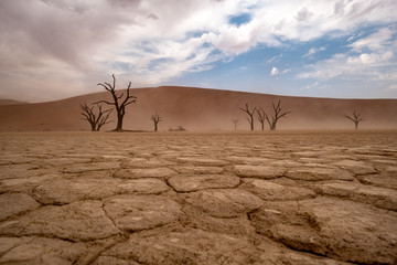 Deadvlei