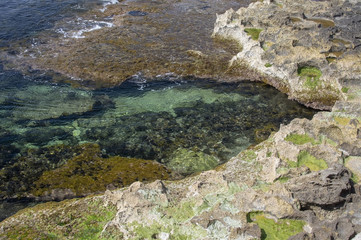 Clear transparent green water and limestone rocks closeup