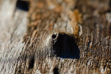 Macro World of Mother Nature 