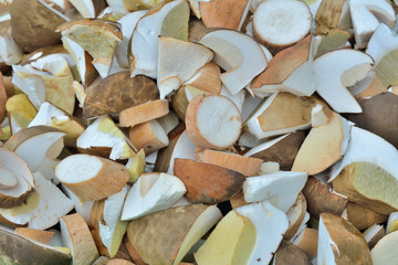 Pieces of mushrooms Cep 4