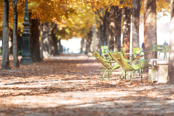 Autumn in Paris. Garden Tuileries.