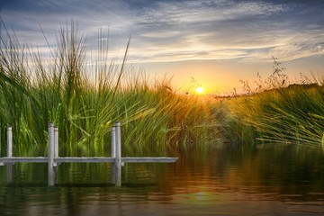 Marsh land with dock