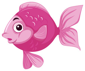 happy pink fish in water