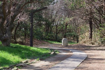 公園の風景