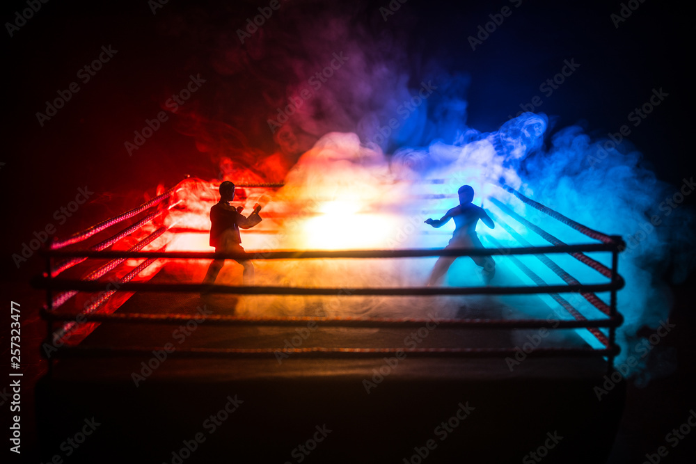 Wall mural blurred background. mma fight octagon stage. ring extreme sport mixed martial arts competition tourn