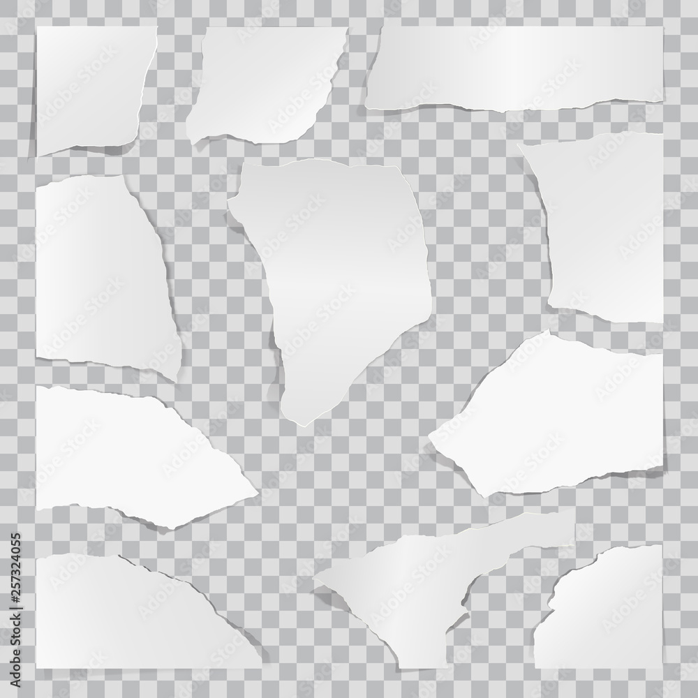 Canvas Prints paper torn to pieces. scrap paper. web banner background.