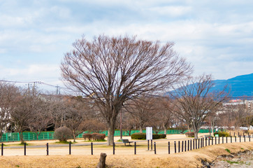 日本の冬の公園　無人