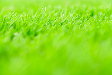 green grass and goal at the stadium. stadium is place for soccer or football match. people come for cheer their favorite team to win the tournament to champion.