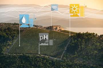 Modern smart farm. Digital agriculture. 