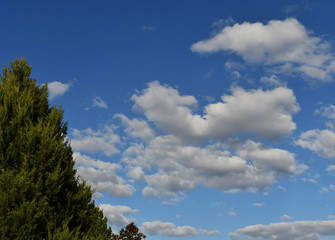 clouds paint the sky