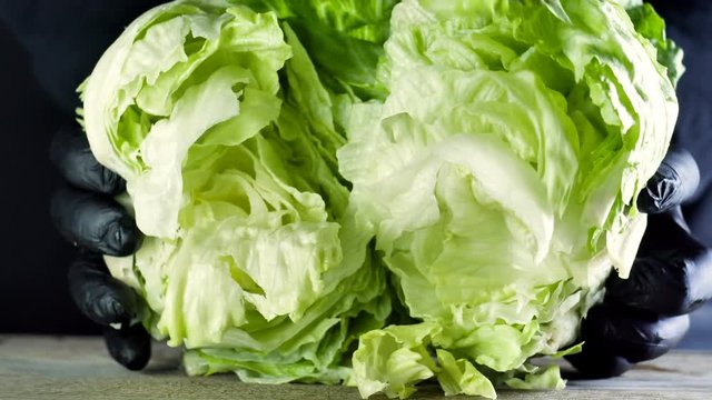 The chef of a restaurant in black gloves tears the head of a frize salad into two halves, ingredients for a salad or a burger, healthy food