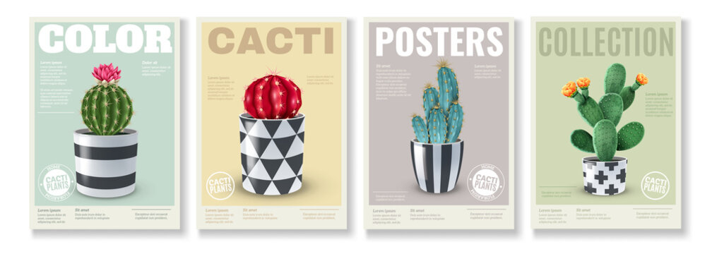Cacti Realistic Posters Set 