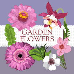 Vector set of garden flowers.